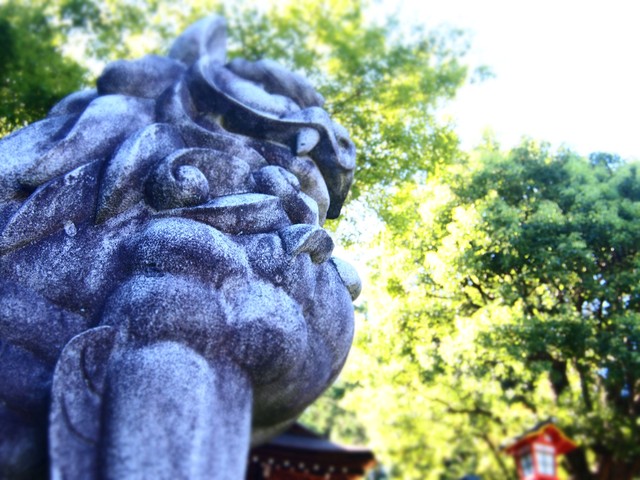 建勲神社　狛犬